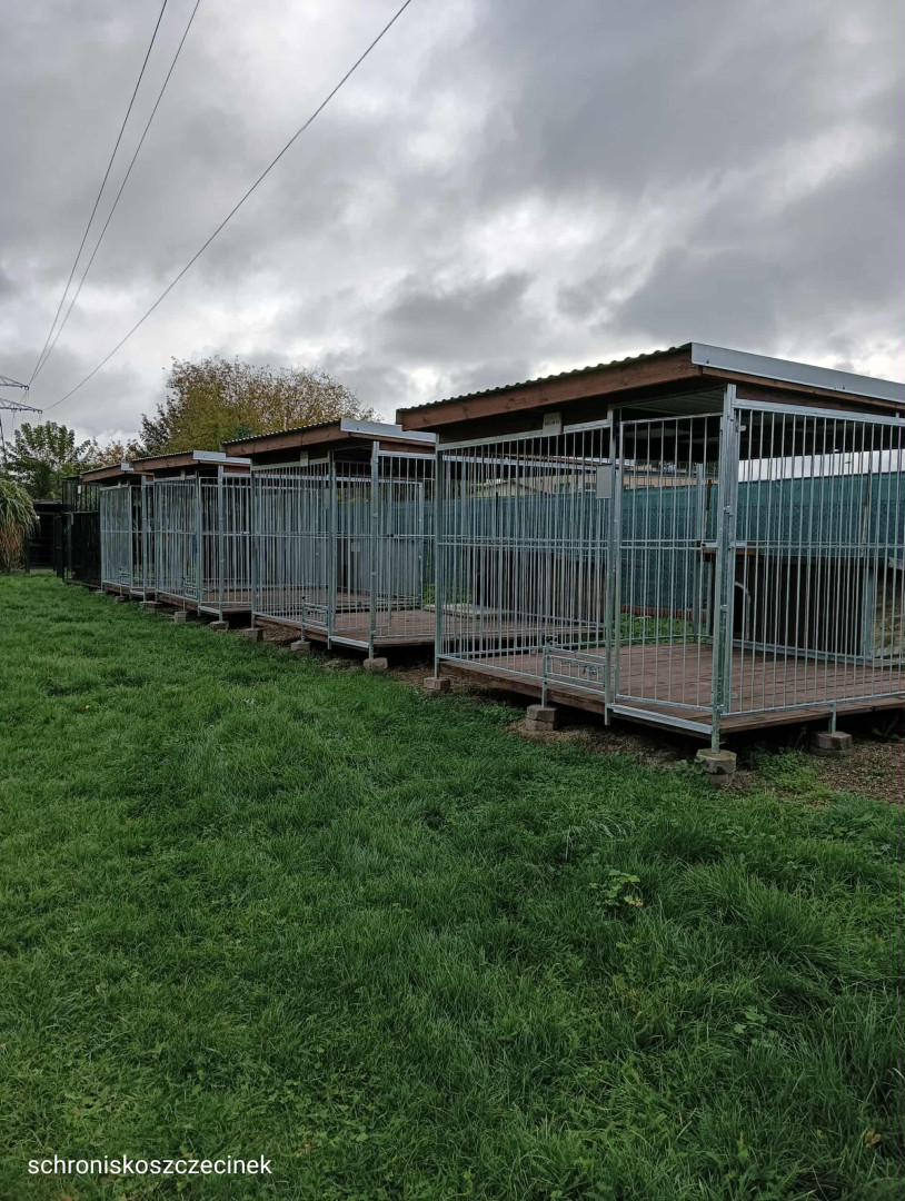 Zdjęcie do projektu Poprawa infrastruktury Schroniska dla zwierząt i zakup samochodu dla Schroniska w Szczecinku